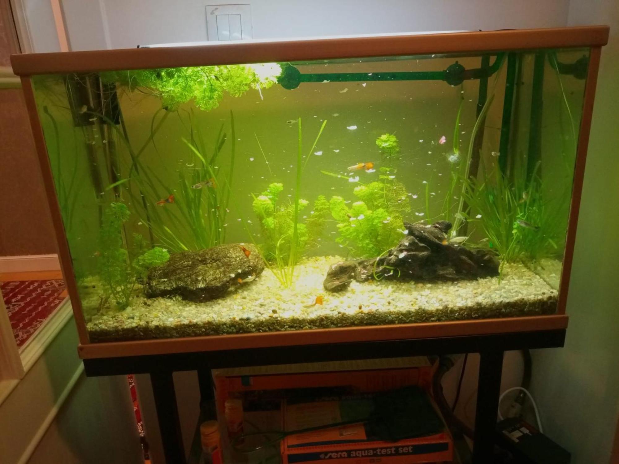 Duplex Lujo